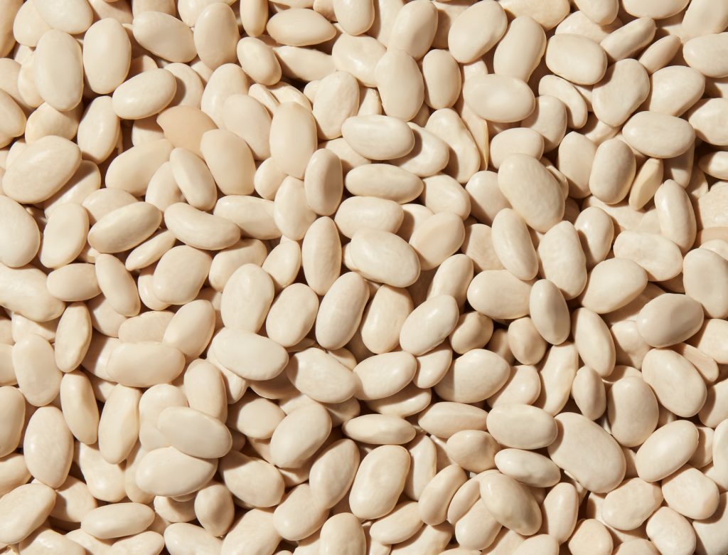 Frijol Blanco