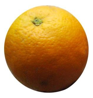 Naranjas Unidad