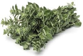 Oregano Rollo