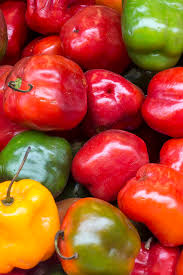 Chile Rocoto