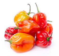 Chile Panameño Original (Paquete 0.5 kg)